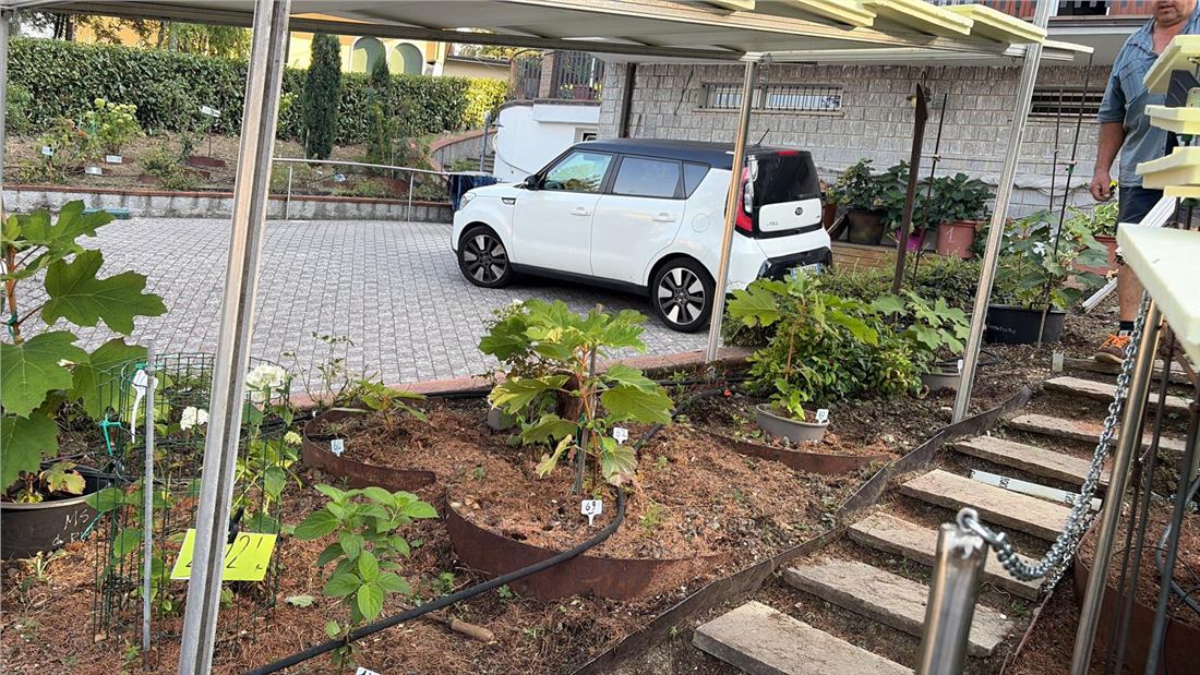 Una parte del vecchio giardino diventa il prolungamento del nuovo