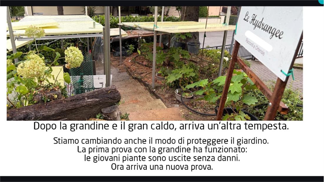Nuove protezioni costruite intorno alle giovani piante