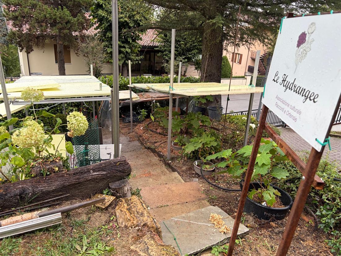 Il Giardino delle Ortensie da Seme