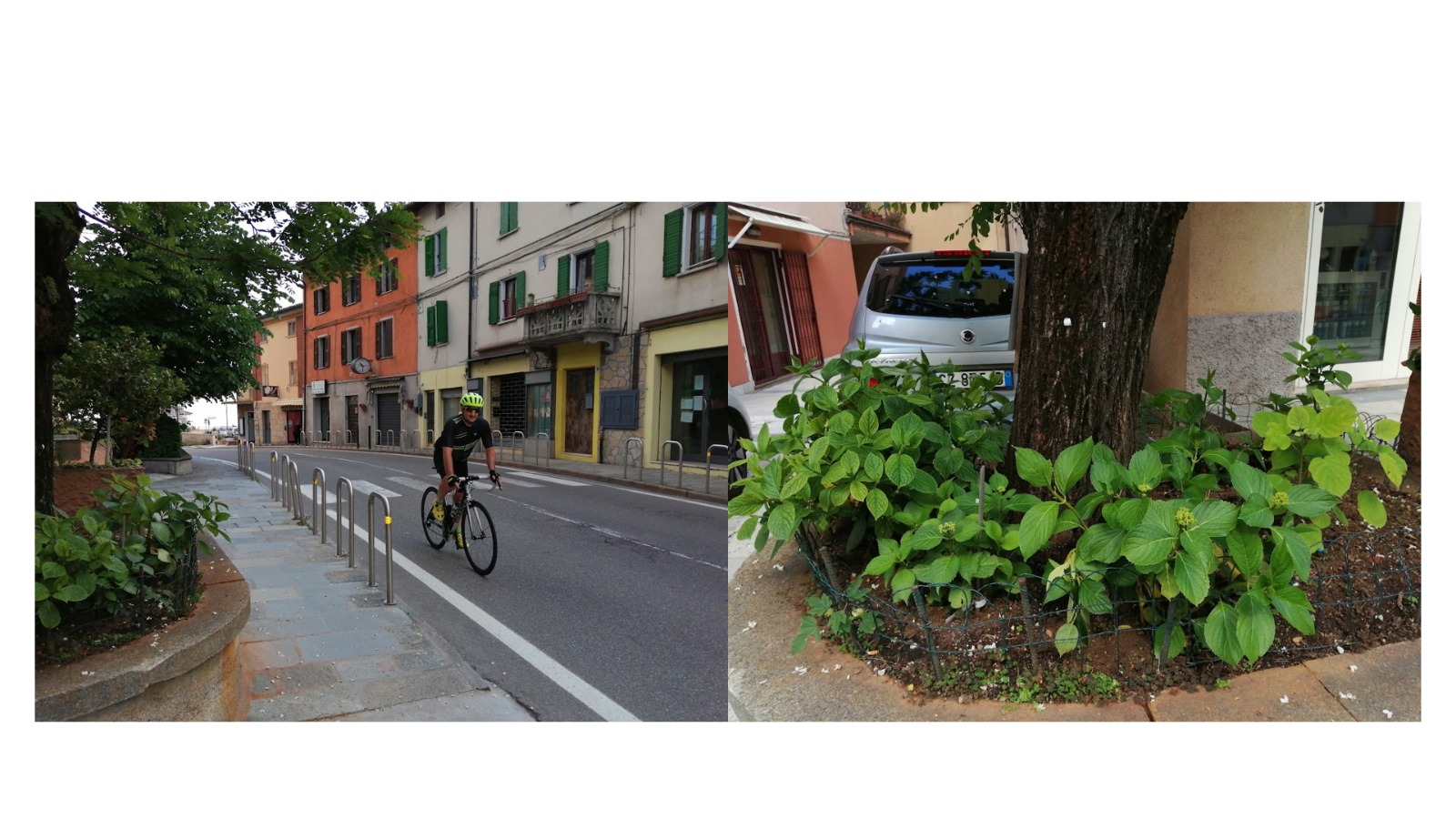 Le ortensie in paese