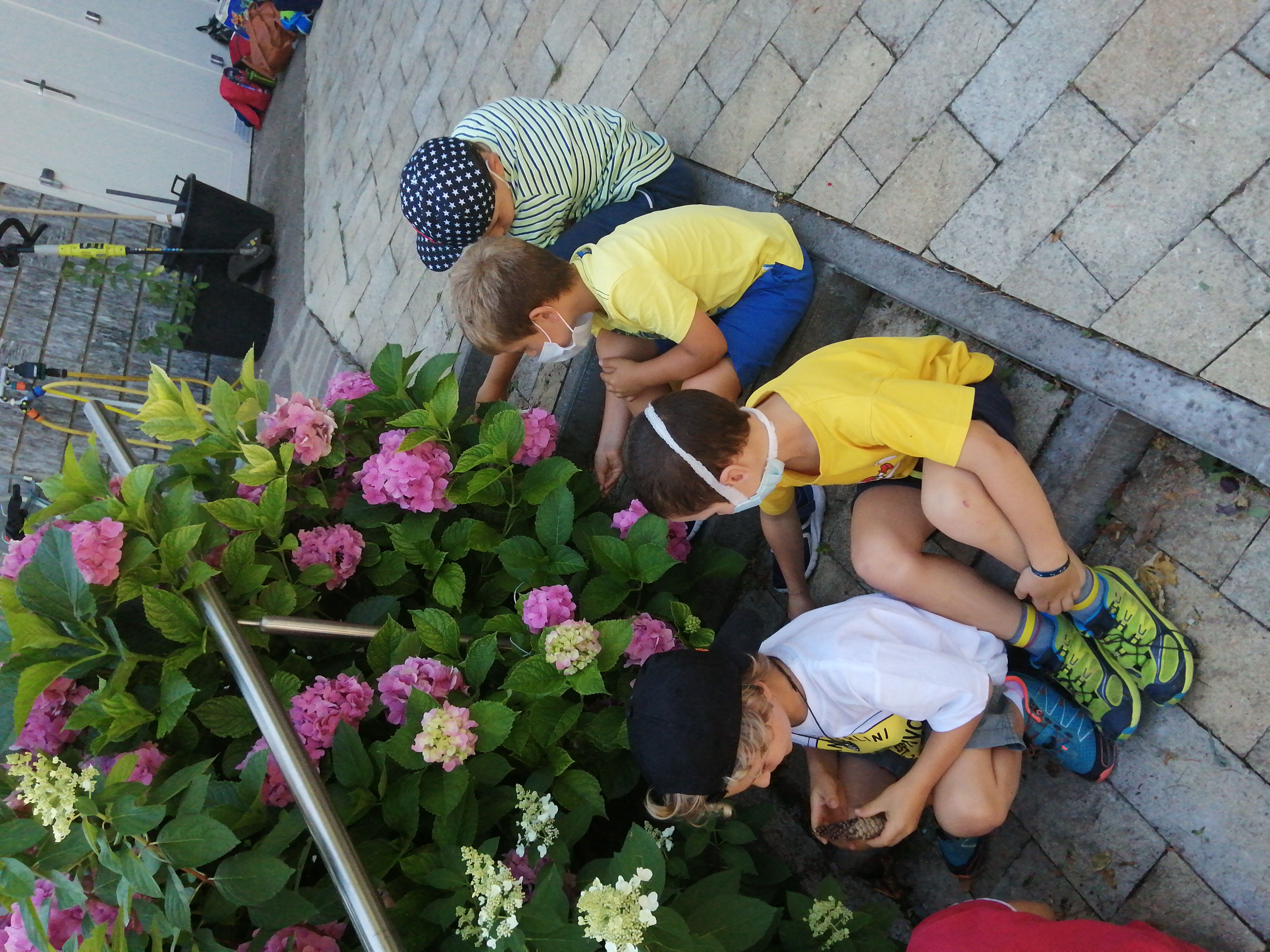 Bambini alla scoperta delle ortensie